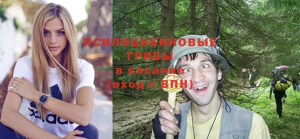 дурь Алексеевка