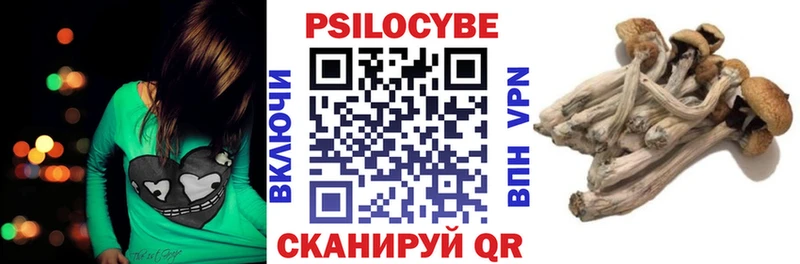 как найти закладки  kraken зеркало  Псилоцибиновые грибы MAGIC MUSHROOMS  Оханск 