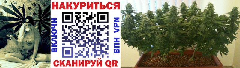Бошки марихуана гибрид Оханск